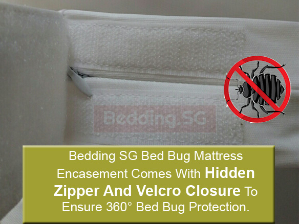 Bed Bug Cannot Enter And Exit Mattress