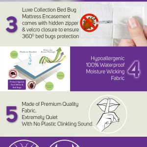 Luxe Collection Bed Bug Mattress Encasement