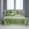 tencel bed sheets light green